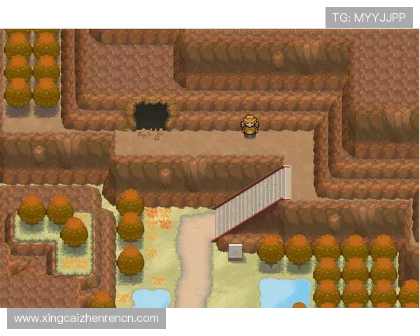 牛牛是什么意思在不同游戏场景下的具体应用和玩家常见的误解解答