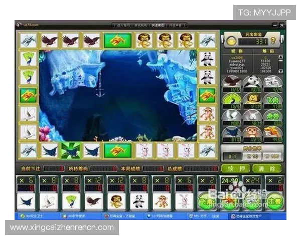 金鲨银鲨飞禽走兽游戏安全提现操作指南，确保每一次资金转移都安全可靠