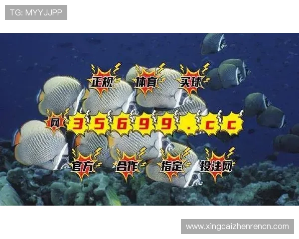 bg视讯厅用户评价与反馈汇总帮助新用户选择最值得信赖的游戏平台