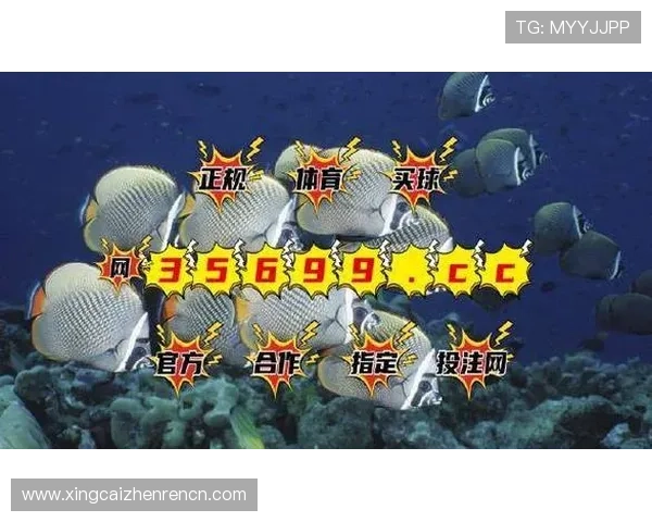 全面解析BG视讯网站的优势与特色，助你轻松找到最优质的线上娱乐渠道